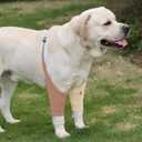 Dog Elbow Protector - Dog Sleeves for Wounds Front Legs, Keep the Elbow Wound Clean, with Inner Padding to Protect the Elbow Joint, Cone Collar Alternative to Stop Licking Wounds (Beige Brown,XL)