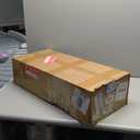 Nakkaa Outer Tail Light Halogen Left Side Compatible with Civic Sedan 2016-2020 w/o Bulb Tail Lamp 33550-TBA-A01 HO2804110