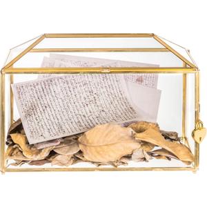 NCYP 12.6" x 5.9" x 9" Wedding Cards Box with Slot and Lock, Glass Card Holder for Party Reception, Centerpiece, Home Decorative, Gold (Glass Box Only) Slot Length 7.3 Inches