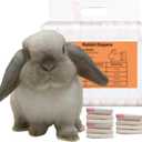 Leak-Proof Bunny Diapers for Rabbits, Disposable Pet Rabbit Diapers, Adjustable Diaper for Bunny (White, XS, Count, 10)