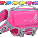 VIVAGLORY Dog Life Vest High Buoyancy Dog Swim Vest, XS, Pink | Life Jacket with Handle & Leash Ring for Boating & Swimming, Sturdy High Visibility for Cat Doggy Puppy, XS
