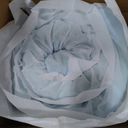 Sealy TrueForm 2" Memory Foam Mattress Topper, Queen