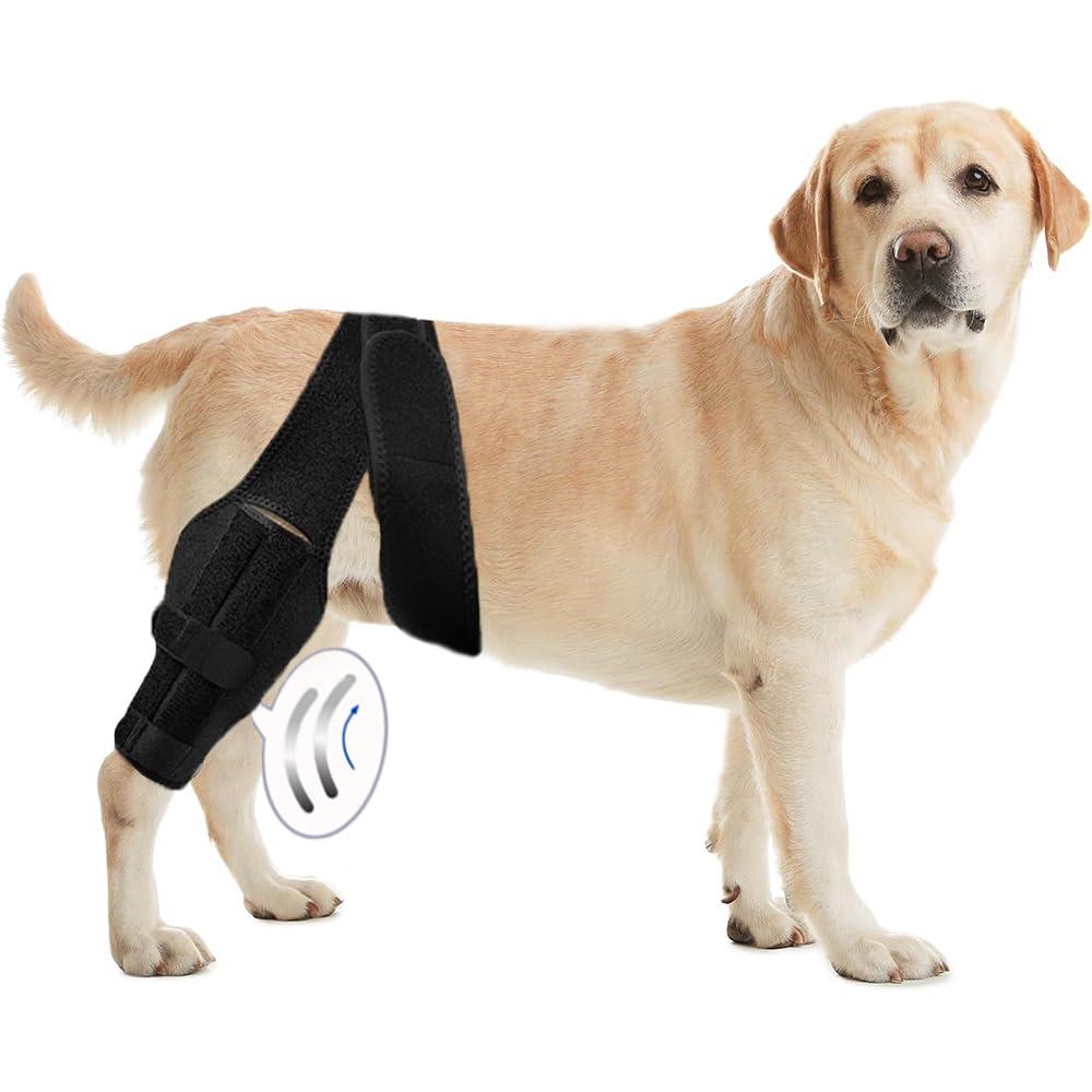 L Dog Leg Braces for Back Leg for Support with Cruciate Ligament Injury-Better Recovery with Dog Knee Brace for Torn Acl Hind Leg-Adjustable Hip Dysplasia Dog Acl Brace Hind Leg Rear