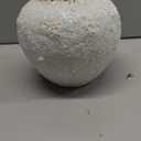 Rustic White Ceramic Vase Farmhouse Round Flower Clay Pottery Large Terracotta Floor Vases for Decorative Centerpiece Vintage Home Decor Aesthetic for Living Room Bedroom Table Entryway
