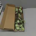 Floroom 5pcs Elf Green Faux Silk Mums Artificial Flowers, Bulk Fake Small Mini Chrysanthemums with Stems for DIY Sage Green Wedding Centerpieces Floral Arrangements Vase Fillers Home Decorations