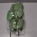 6Pcs Glitter Christmas Magnolia Flowers 9.5 Inch Large Artificial Poinsettia Flower Ornament for Christmas Tree Wreath Garland Wedding Holiday Party New Year Decoration (Green)