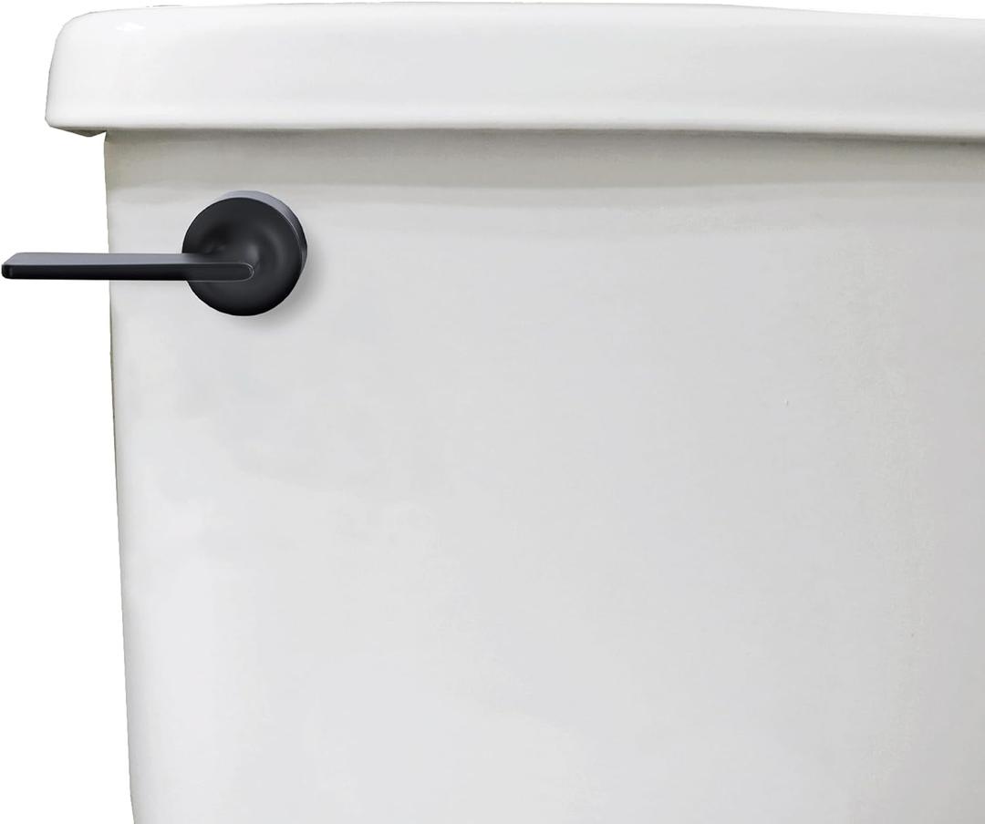Danco 12052 Toilet Tank Lever, Matte Black