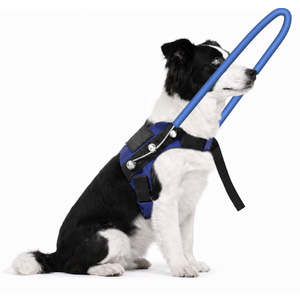 Blind Dog Harness with Protective Halo Ring, Adjustable Protective Collar and Navigation Aid for Visually Impaired Dogs, Safe Mobility Support Tool (9-13In)