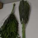 Pine Leaves Branches, 17'' Natural Pine Needles Green Plants, 3.5OZ Greenery Twigs Stems, Evergreen Picks for Christmas Garland Wreath Home Wedding Decor Floral Arrangements