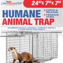 24" Humane Cat Trap for Stray Cats, Collapsible Live Animal Cage for Feral Kittens, Possum, Raccoon, Rabbit, Armadillo Trap Catch and Release by LifeSupplyUSA