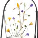REDHUGO Double Glass Frame for Pressed Flowers Handmade, Metal Floating Picture Frame for Pressed Flower, Tabletop Display, Brass, ArcShaped, Black, 6x8 inches (FRAME ONLY)