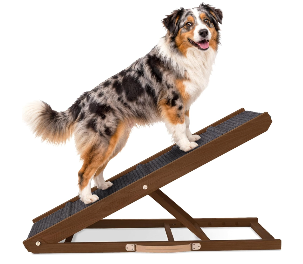 Pathosio Pets Foldable Dog Ramp for Couch - Portable Dog Ramps for Bed