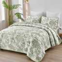 WONGS BEDDING Botanical Quilt Set King, Sage Green 3 Pieces Toile Floral Plants Printed Bedspread Bedding Set Soft Lightweight Microfiber Coverlet Set for All Season (104"x90")