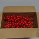 20 Pack Christmas Artificial Red Berry Stems Fake Holly Berry Pick for Christmas Tree Decorations DIY Crafts Xmas Ornaments Wedding Holiday Home Decor