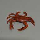 Simulated Marine Life Lobster Crab Model Lobster Large Lobster Gift Male Barracudacrab(red)