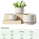 LE TAUCI Plant Pots, 4.1+5.1+6.5 inch, Set of 3, Ceramic Planters with Drainage Hole and Saucer, Indoor Flower Pot with Hole Mesh Pad, Gifts for Mom, Reactive Glaze Beige