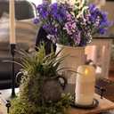 Dried Flowers Bundles Forget Me Not with Stems Natural Dried Flowers Purple Pink and White Preserved Dried Flowers Bouquet for Floral Arrangements Wedding Party DIY Resin Vase Home Decoration