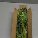 Mixed Artificial Eucalyptus Stems Bulk 15pcs 5 Kinds Faux Silver Dollar Eucalyptus Fern Leaves Picks Artificial Greenery Stems Sprays Bouquet for Vase DIY Wedding Bouquet Floral Arrangement Home Decor