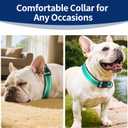 3 x Kazazoo Reflective Dog Collar with Soft Padding Dog Collar for Medium & Small Dogs, No Pull, Heavy Duty, Adjustable Nylon Collar with Quick-Release Buckle, Walking Training-Green-S