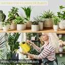 Watering Can Indoor Plants, 35oz Small Stainless Steel Metal Watering Can Modern Decorative Watering Pot with Long Spout for Indoor House Plant Bonsai Garden Flowers (Yellow)