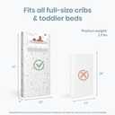 Dream On Me Exclusive 2-in-1 Full Size Crib & Toddler Mattress