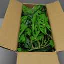 Large Fake Hanging Plants in Pot with Hook, 37" Artificial Hanging Monstera Albo Vines Plants, Fake Potted Greenery Plant for Room Wall Living Room Bathroom Kitchen, Big Faux Ivy Houseplants for Shelf