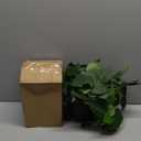 alyptus Fake Hanging Plants Artificial Decor Indoor Realistic Silk Devil's Ivy Hanging Potted Plants Faux Greenery Plant Pothos Vines with Pot for Home (Hanging Pothos - Green)