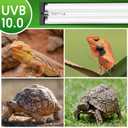 QZQ T5 UVB Reptile Light Fixture Combo Kit 8W, 10.0 UVB Light for Reptiles, Terrarium Hood Comes with Desert UVB Lamp for Bearded Dragon, Gecko, Tortoise, Lizard