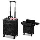 BYOOTIQUE Rolling Makeup Train Case on Wheels Cosmetology Organizer Box Professional Aluminum Cosmetic Trolley Travel Suitcase for Salon Barber Hairstylist Artist,CoyoteButtes Shadows (Medium, CTB Black)