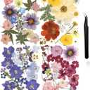 Nuanchu Dried Pressed Flowers for Crafts Resin Pressed Flowers Bulk Purple Dried Wildflowers Leave Natural with Tweezer DIY Christmas Crafts Supplies for Resin Mold Scrapbooking Nail Soap Making