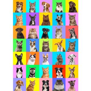 Jigsaw Puzzles for Adults 1000 Piece Puzzle for Adults 1000 Pieces Puzzle 1000 Pieces-Colourful Pets Collage