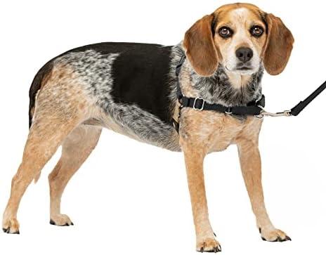 PetSafe Easy Walk No-Pull Dog Harness - The Ultimate Harness to Help Stop Pulling - Take Control & Teach Better Leash Manners - Helps Prevent Pets Pulling on Walks, Small/Medium, Black/Silver S/M