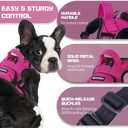 BUMBIN Dog Harness for Large Dogs, No Pull Adjustable No Choke Pet Vest with Dog Leash Fit Smart Reflective Pet Walking Harness for Training Easy Control Soft Handle (Rose Red M)