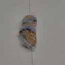 Sugar Tropical Blue Size 8
