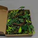 6Pcs St.Patrick's Day Shamrocks Candle Wreath Artificial Clover Rings Wreath Lucky Irish Kitchen Cabinet Wreaths Pillars Candle Wreaths for Front Door Porch Wall Window Decoration