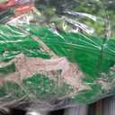 Scotts Turf Builder Lawn Food Northern (15,000 sq. ft.) 37.50lbs