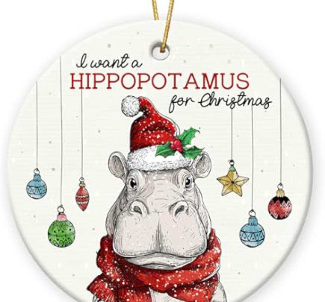 3 x I Want A Hippopotamus for Christmas Ornament 2025 - Hippo Gifts for Women Friends Coworkers, Funny Hippo Ornament as Christmas Tree Decorations, Funny Animal Lovers Gifts for Man Woman