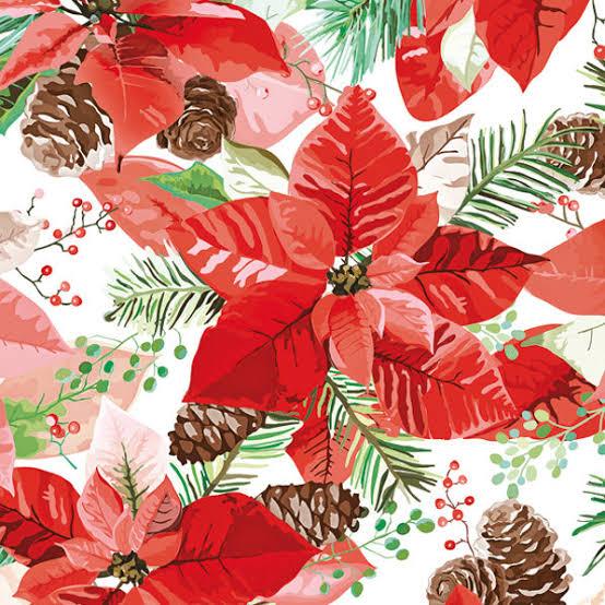 Qeeenar 12 Pcs Christmas Poinsettia Cloth Napkin 20 x 20 Inch Poinsettia Cloth Napkins Washable Dinner Guest Napkins for Christmas Holiday Xmas Thanksgiving Dinner Party Supplies, Set of 12
