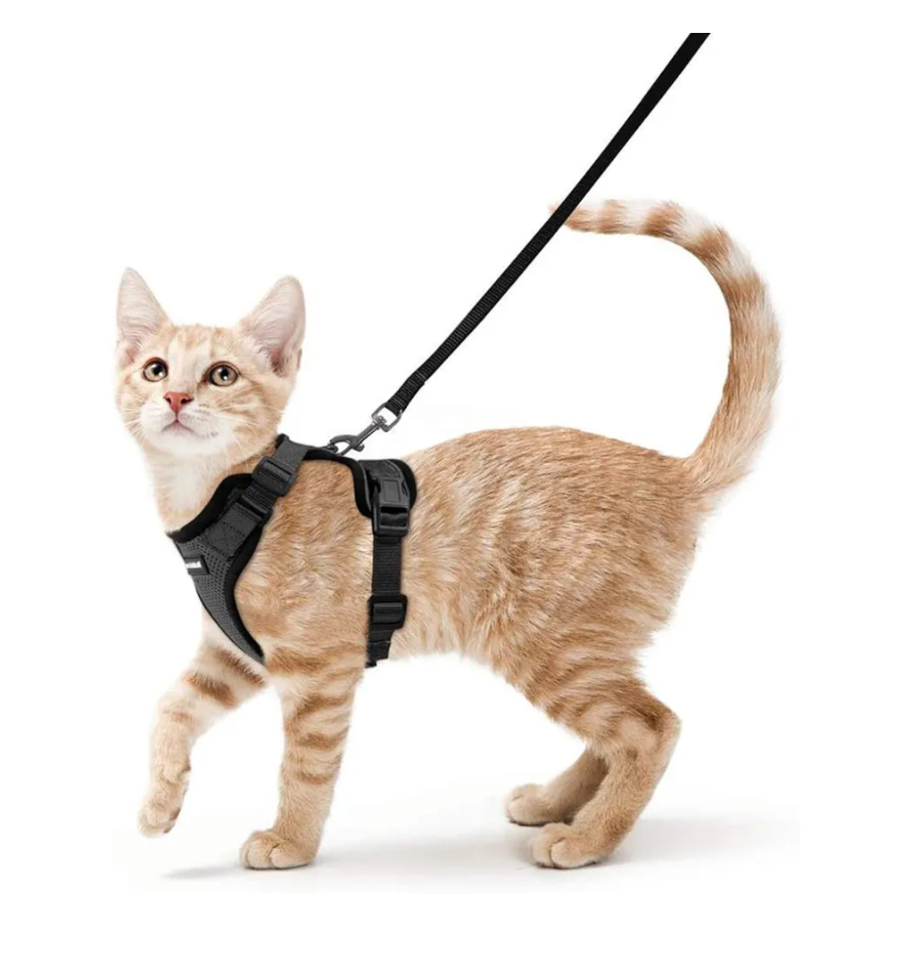 rabbitgoo Cat Harness and Leash for Walking, Escape Proof Soft Adjustable Vest Harnesses for Cats, Easy Control Breathable Reflective Strips Jacket, Black, XS