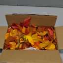 BlcTec Thanksgiving Decorations 9 FT Battery Operated Fall Garland with Lights 50 LED Orange Bulbs, 6 Pumpkins, 8 Modes, Timer, Lighted Maple Leaves Garland for Thanksgiving Decor