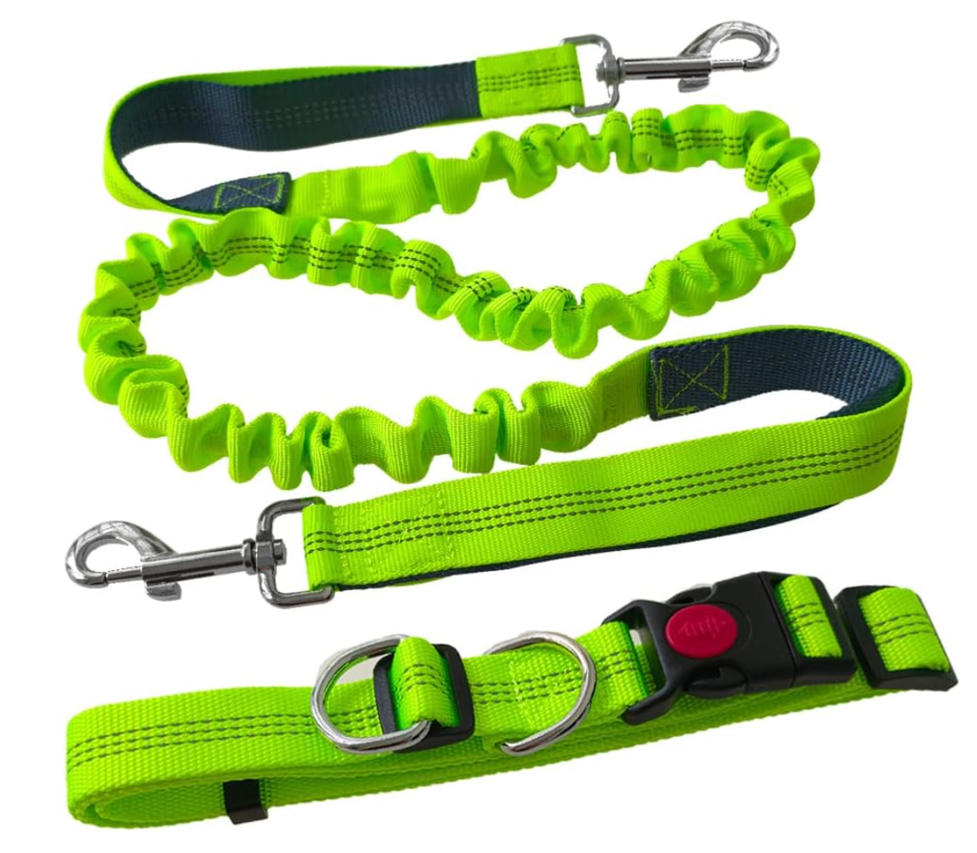 Green Hands-Free Dog Lead Leash, Adjustable Waist Belt and Stretchy Bungee Lead, Jogging Dog Lead with Reflective Stitching (Grey Handle)