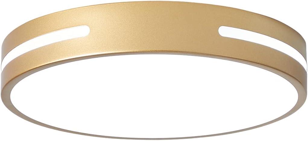 LED Light Fixture Ceiling Mount Gold, Drum Flush Mount Ceiling Light Interior Dimmable,10 inch Close to Ceiling Light Fixture 3CCT for Kitchen,Bedroom, Bathroom, Living Room