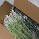 Grunyia 20 Bundles Artificial Plants Outdoor Fake Monkey Grass with Flowers (White)