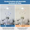 Socket Fan Light, Ceiling Fans with Lights and Remote Control, Powerful Airflow,17 inch E26 Base Quiet Dimmable Ceiling Fans for Bedroom,Bathroom, Kitchen, Living Room,1200 Lumens (3 Blades)