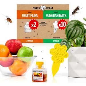 Super Ninja Gnat Traps for House Indoor - Fungus Gnat & Fruit Fly Traps - 10 Sticky Traps for Plants & 2 Highly Effective Fruit Fly Catchers for Indoors, Kid & Pet Friendly