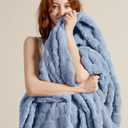 Bedsure Ashley Blue Fleece Blanket for Couch - Super Soft Cozy Queen Blankets for Women, Cute Small Throws for Girls, 90x90 Inches (Queen (90" x 90"))