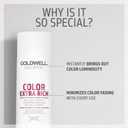 Goldwell Dualsenses Color Extra Rich Brilliance Shampoo (10.1 Fl Oz (Pack of 1))
