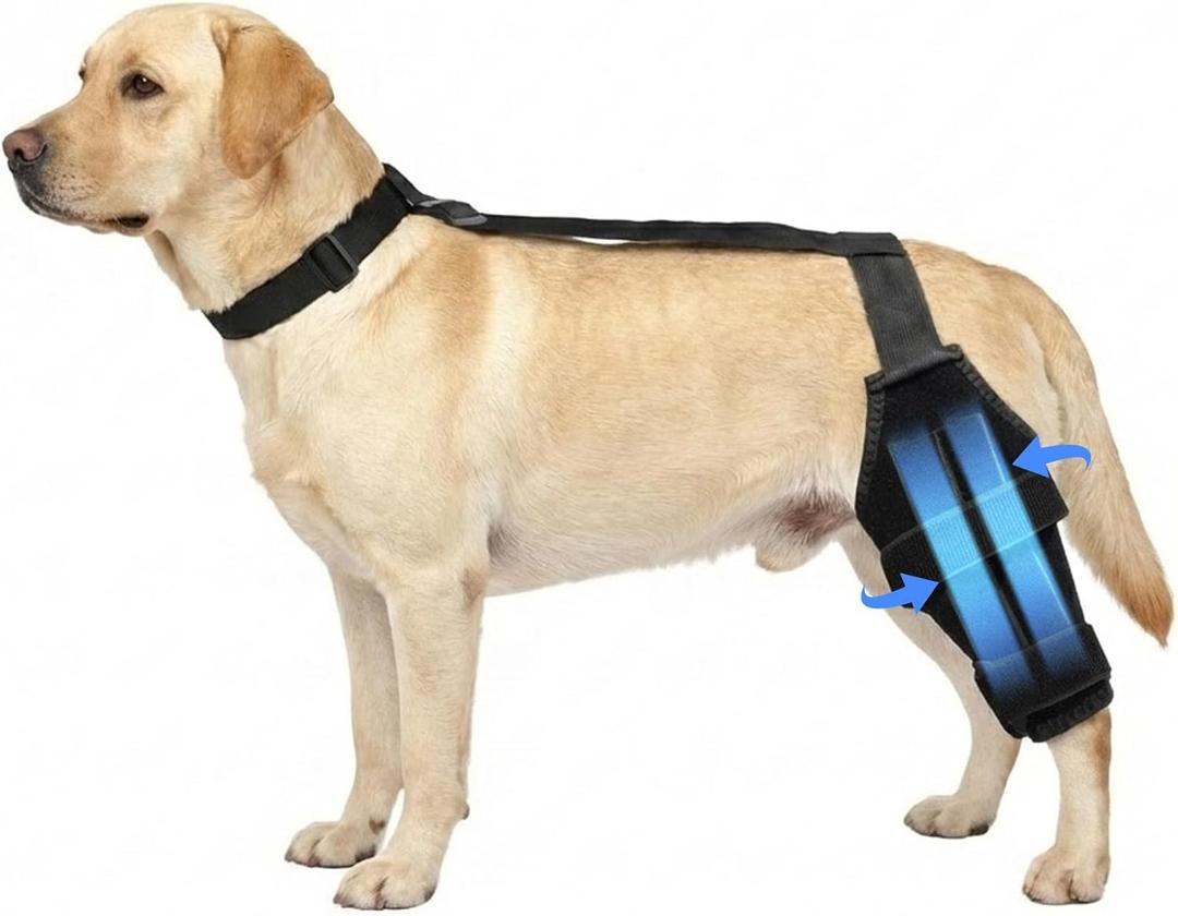 Dog Knee Brace for Torn ACL & Hind Leg Support, Adjustable Dog Hip & Leg Brace for Arthritis Relief, Cruciate Ligament, Joint Stability & Injury Recovery, (Black, S)