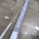 Loloi Rifle Paper Co. Canopy Collection CNP-03 Aubergine 7'-6" x 9'-6" Area Rug