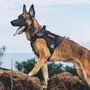 OneTigris Tactical Dog Harness Vest,No-Pull Service Dog Vest with Hook & Loop Panels,Adjustable Dog Vest Harness for Walking Hiking Training(Black,XS)